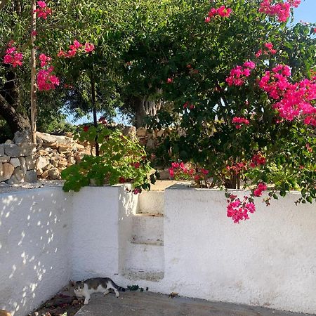 Villa Bei Tempi Polignano a Mare Esterno foto
