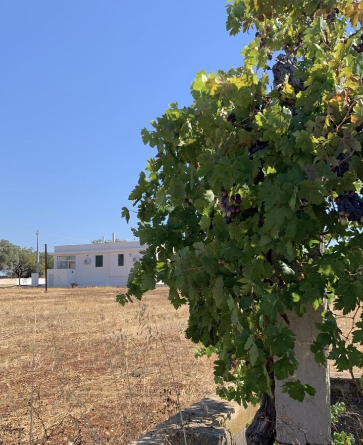 Villa Bei Tempi Polignano a Mare Esterno foto