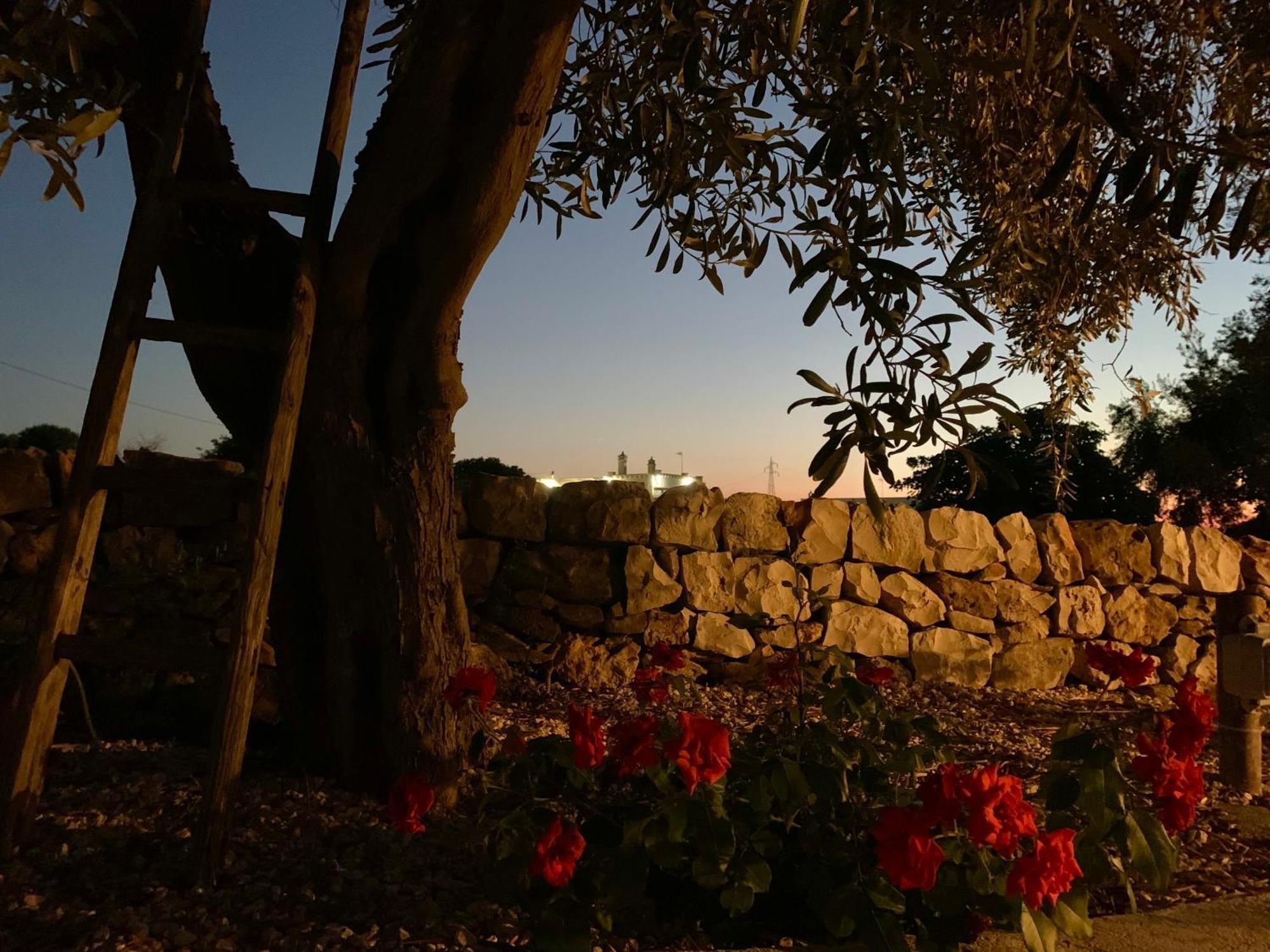Villa Bei Tempi Polignano a Mare Esterno foto